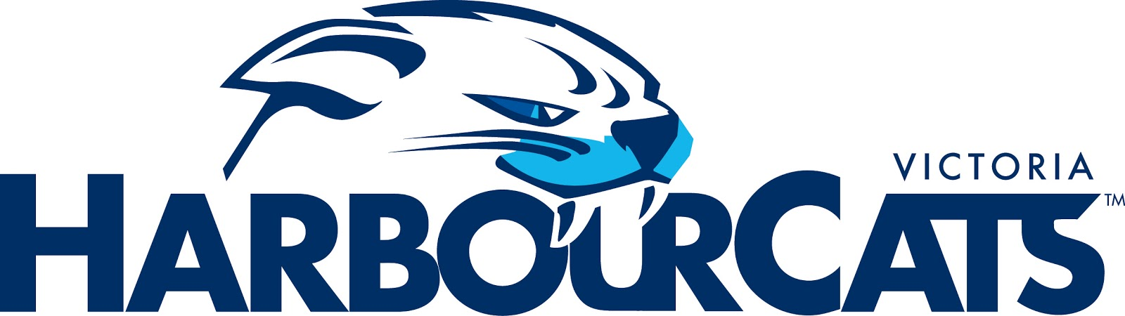 Victoria HarbourCats 2013-Pres Primary logo iron on transfers for T-shirts